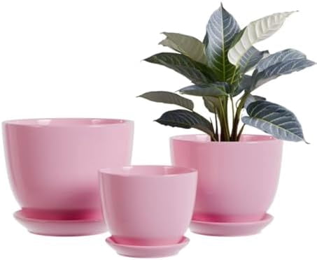 Pink Ceramic Flower Pots, Indoor Decorative Plant Pots Set of 3, 4"+5"+6" Inch Glazed Succulent Planters with Drainage Hole, Modern Garden Pots with Saucer