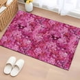 thumbnail image 1 of Pink Cherry Blossom Entryway Rug 2'x3'&nbsp; Non Slip Front Door Mats, Spring Flowers Modern Abstract Art Entrance Rugs Indoor Outdoor Carpet, Washable Floor Mats Small Area Rug for Bedroom Kitchen, 1 of 8