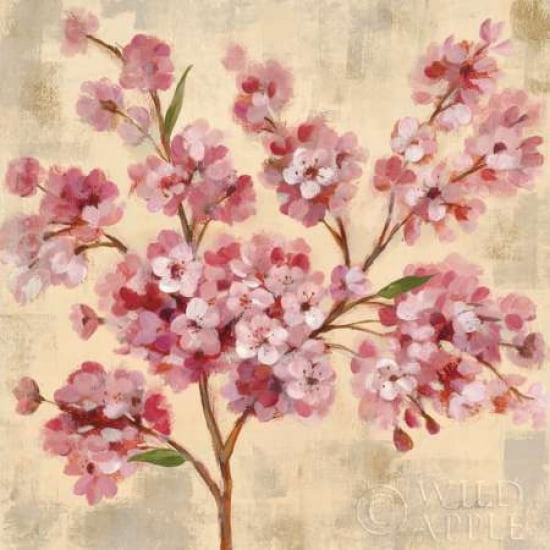 Pink Cherry Branch II Canvas Art - Silvia Vassileva (24 x 24)