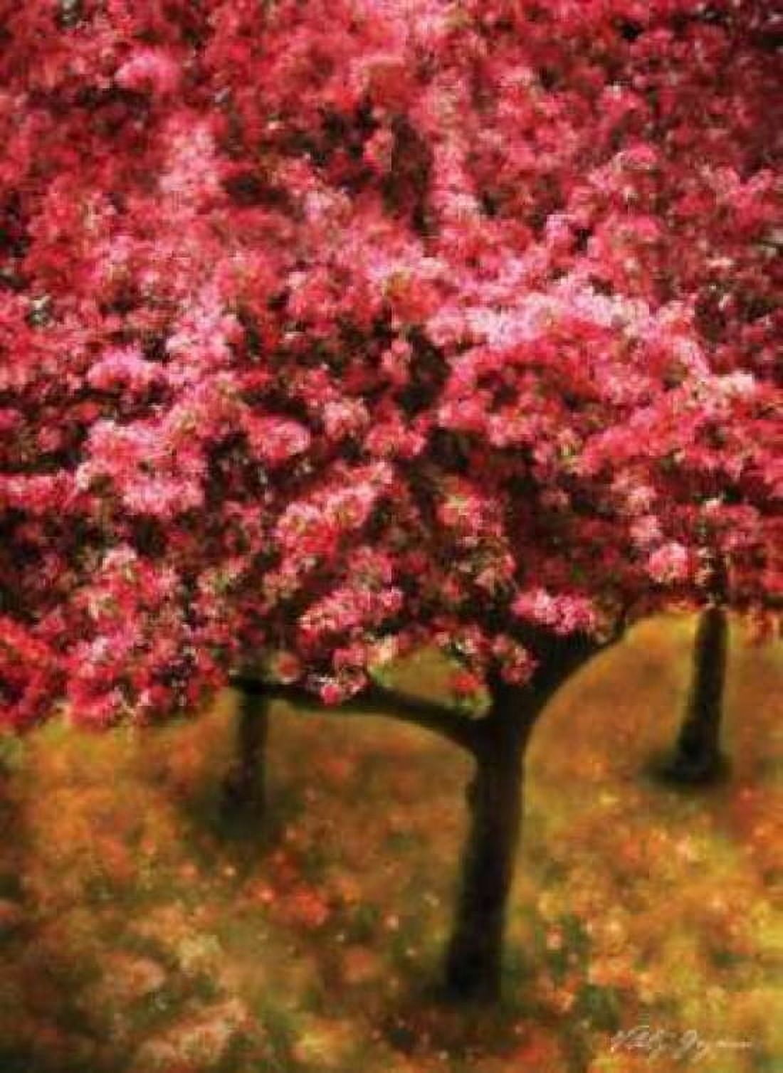 Pink Cherry Tree Canvas Art - Vitaly Geyman (18 x 24)