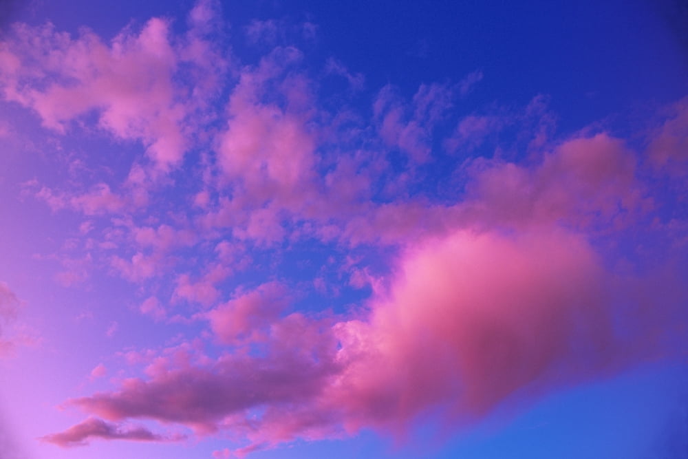 Pink Clouds At Sunset Alaska Canvas Art - Kevin Smith Design Pics (17 x 11)