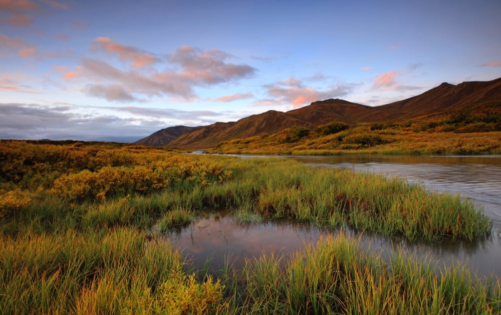 Pink Clouds At Sunrise Over The Cloudy Range Small Stream And Fall Colours Along The Dempster Highway Yukon Canvas Art - Robert Postma Design Pics (34 x 22)