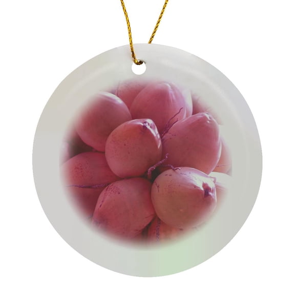 3drose, Pink Cocos, Circle Porcelain Ornament