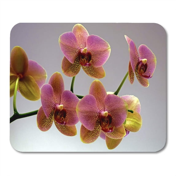 Pink Colorful Abstract Lilac Yellow Orchids on Gray Amazing Mousepad Mouse Pad Mouse Mat 9x10 inch