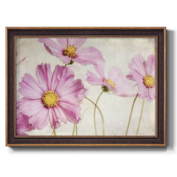 Pink Cosmos I Premium Framed Canvas- Ready to Hang