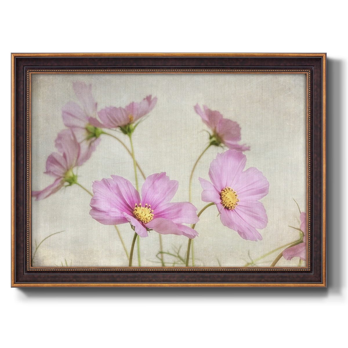 Pink Cosmos II Premium Framed Canvas- Ready to Hang