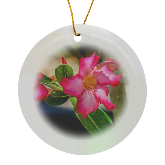 3drose, Pink Desert Roses Bloom, Desert Botanical Garden, Phoenix, Arizona., Circle Porcelain Ornament