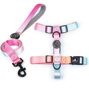 Pink Dog Harness and Leash Set for Small Dogs, Adjustable Lightweight Dog Harness & Leash, Fashionable, Comfortable, No Pull