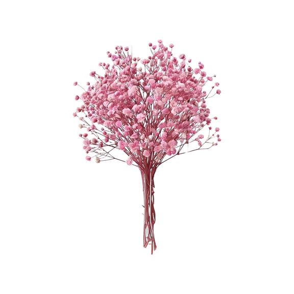 Pink Faux Pampas Grass with Vase, Boho Home Decor for Living Room, Farmhouse Table Centerpiece