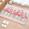 thumbnail image 1 of Pink Flamingo Area Rugs 2x3 for Living Room, Summer Tropical Flamingo Hawaii Animals Non Slip Washable Rug Runner, Low Pile Indoor Floor Carpet Mat Bathroom Rugs for Bedroom, Kids Room, 1 of 9