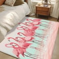 thumbnail image 1 of Pink Flamingo Area Rugs 3x5 for Living Room, Summer Tropical Flamingo Hawaii Animals Non Slip Washable Rug Runner, Low Pile Indoor Floor Carpet Mat Bathroom Rugs for Bedroom, Kids Room, 1 of 9