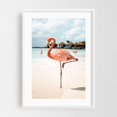thumbnail image 1 of Pink Flamingo - Aruba Photography Flamingo Tropical Beach Wildlife Seaside Bird Summer White Framed Wall Art Print 24 x 36 inches, 1 of 3