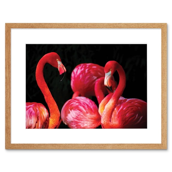 Pink Flamingo Bird Group Framed Wall Art Print
