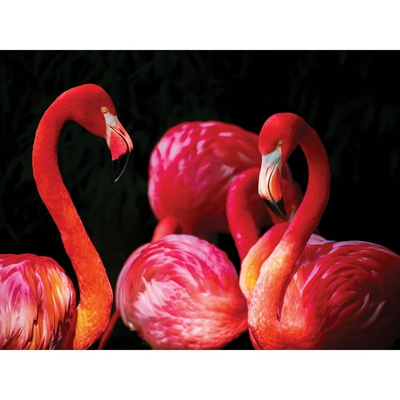 Pink Flamingo Bird Group Large Wall Art Print