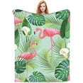 thumbnail image 1 of Pink Flamingo Blanket Gifts for Adult Women & Girls Bed for Living Room Bedding Couch Soft Warm Lightweight Cozy Throw Cute Flamingos and Flowers Blankets Farmhouse Christmas Decor 40x50in, 1 of 5