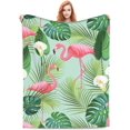 thumbnail image 1 of Pink Flamingo Blanket Gifts for Adult Women & Girls Bed for Room Bed Couch Soft Warm Lightweight Cozy Throw Cute Tropical Flamingos and Flowers Blankets Farmhouse Decor Green 50x60in, 1 of 5