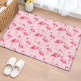 thumbnail image 1 of Pink Flamingo Entryway Rug 2'x3'&nbsp; Non Slip Front Door Mats, Summer Animals Entrance Rugs Indoor Outdoor Carpet, Washable Floor Mats Small Area Rug for Bedroom Kitchen, 1 of 8