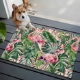thumbnail image 1 of Pink Flamingo Front Door Rugs 2x3 ft Country Tropical Animal Green Monstera Leaf Plant Farm Small Rug for Entryway Non Slip Washable Bathroom Door Mat Absorbent Floor Mat for Indoor Entrance, 1 of 9