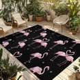 thumbnail image 1 of Pink Flamingo Outdoor Rug 5x7 Ft - Reversible Patio Rug Outdoor Camping Rugs, Summer Tropical Animals Black Washable Indoor Outdoor Area Rugs, Non-Slip Outdoor Carpet Runner for Deck/Porch, 1 of 8