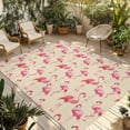 thumbnail image 1 of Pink Flamingo Outdoor Rug for Patio/Deck/Porch, Non-Slip Large Area Rug 3 x 5 Ft, Summer Animals Rustic Indoor Outdoor Rugs Washable Area Rugs, Reversible Camping Rug Carpet Runner, 1 of 8