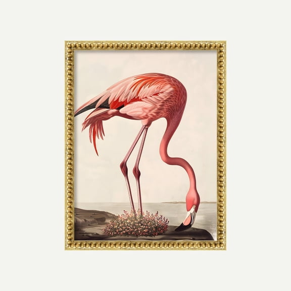 Pink Flamingo Print Vintage Flamingo Poster Preppy Animal Art Wall Art, Modern Wall Decor, 24x36 UNFRAMED