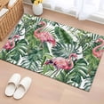 thumbnail image 1 of Pink Flamingo Washable Small Entryway Area Rugs 2'x3', Country Tropical Animal Green Monstera Leaf Plant Low Pile Throw Rug Non-Slip Sturdy Edge Binding Carpet for Front Door Floor Room Entry, 1 of 9