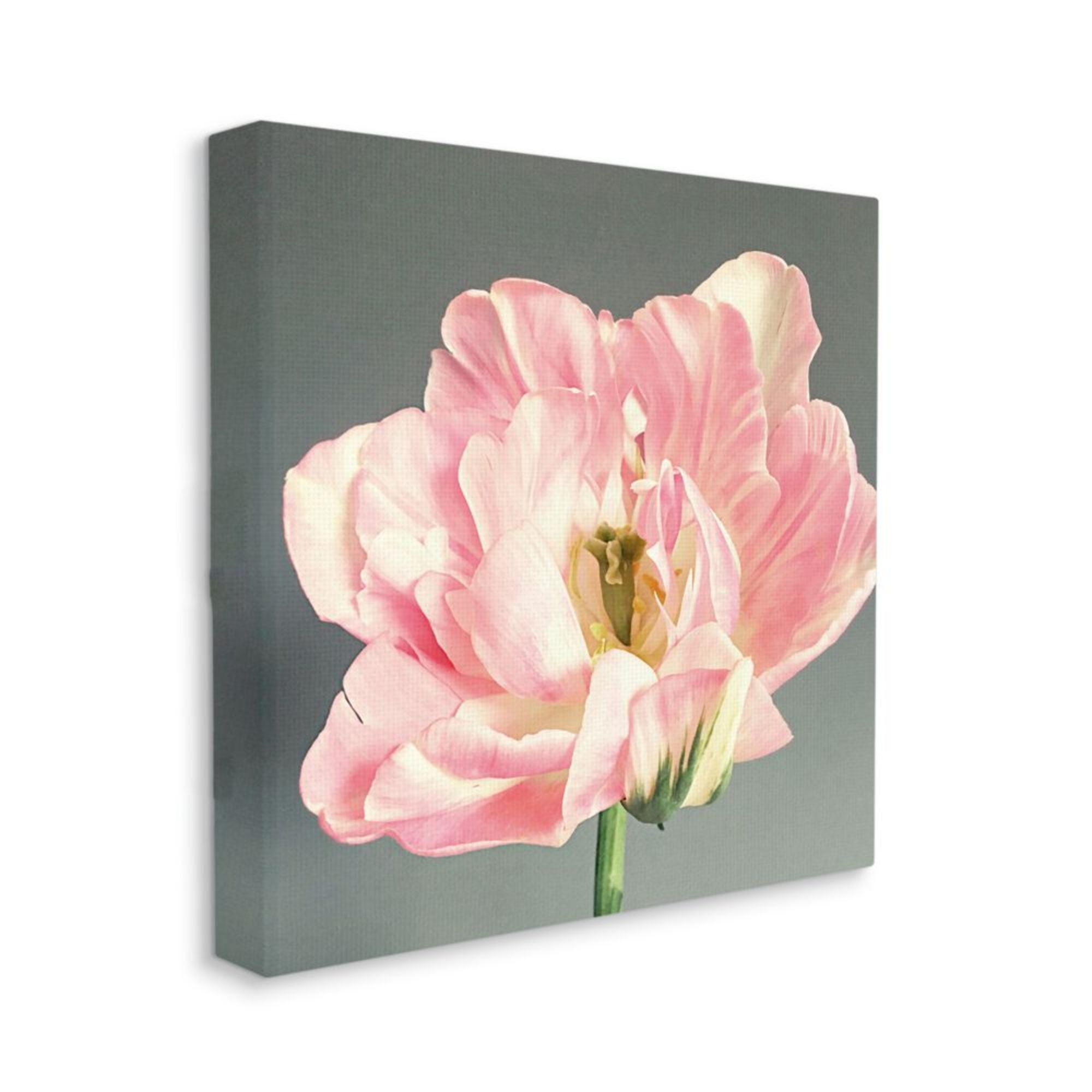 Pink Floral Close-Up Flower Petal Bloom Botanical & Floral Gallery-Wrapped Canvas Print Wall Art, 17x17