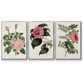 thumbnail image 1 of Pink Floral Mix I - Framed Premium Gallery Wrapped Canvas L Frame 3 Piece Set - Ready to Hang, 1 of 9