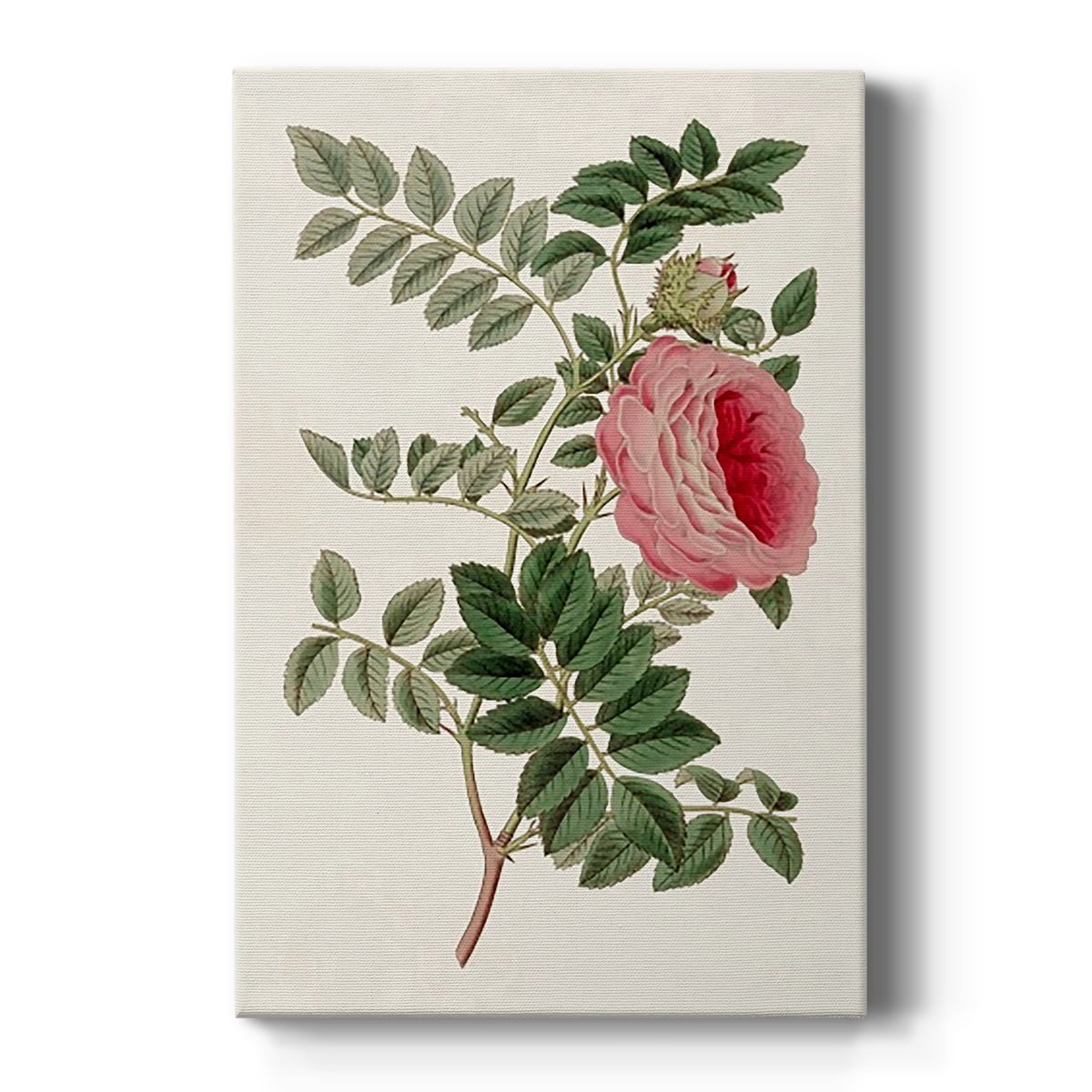 Pink Floral Mix I Premium Gallery Wrapped Canvas - Ready to Hang