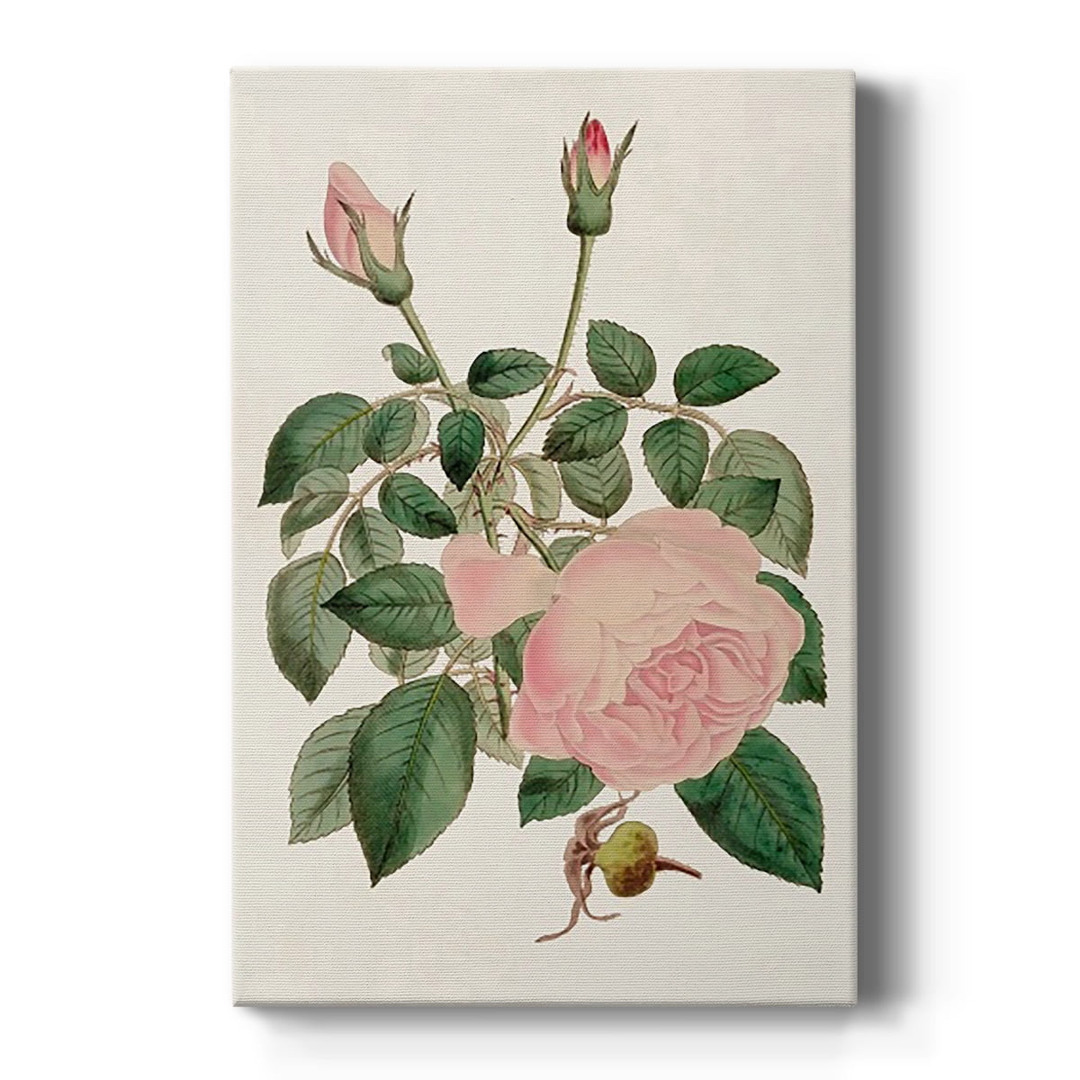 Pink Floral Mix II Premium Gallery Wrapped Canvas - Ready to Hang