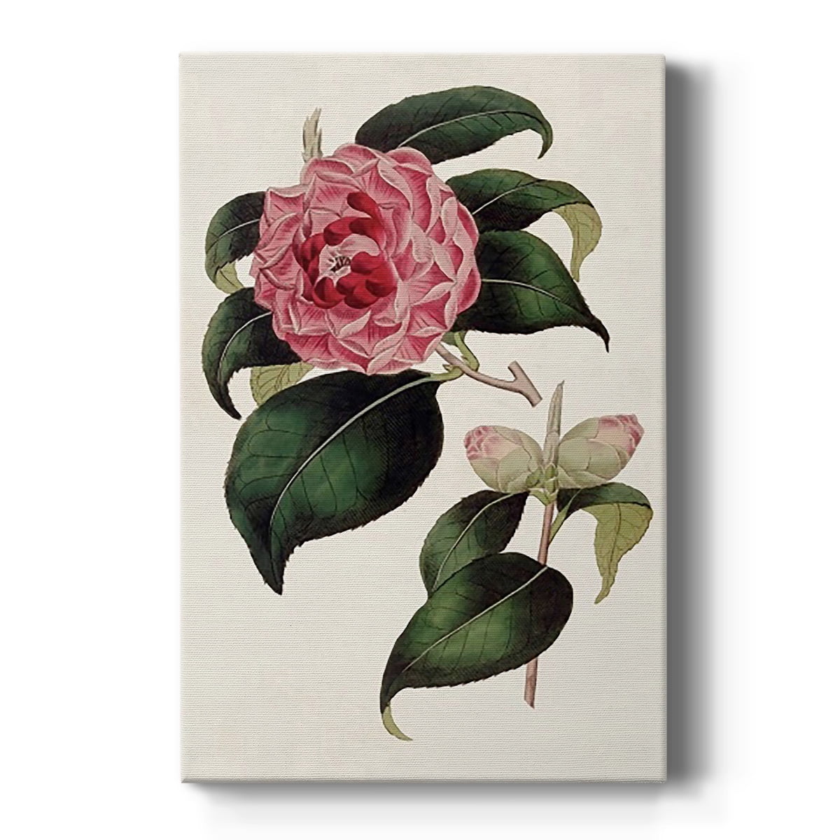 Pink Floral Mix III Premium Gallery Wrapped Canvas - Ready to Hang
