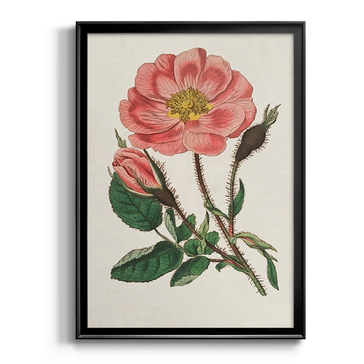 Pink Floral Mix IX Premium Framed Print - Ready to Hang