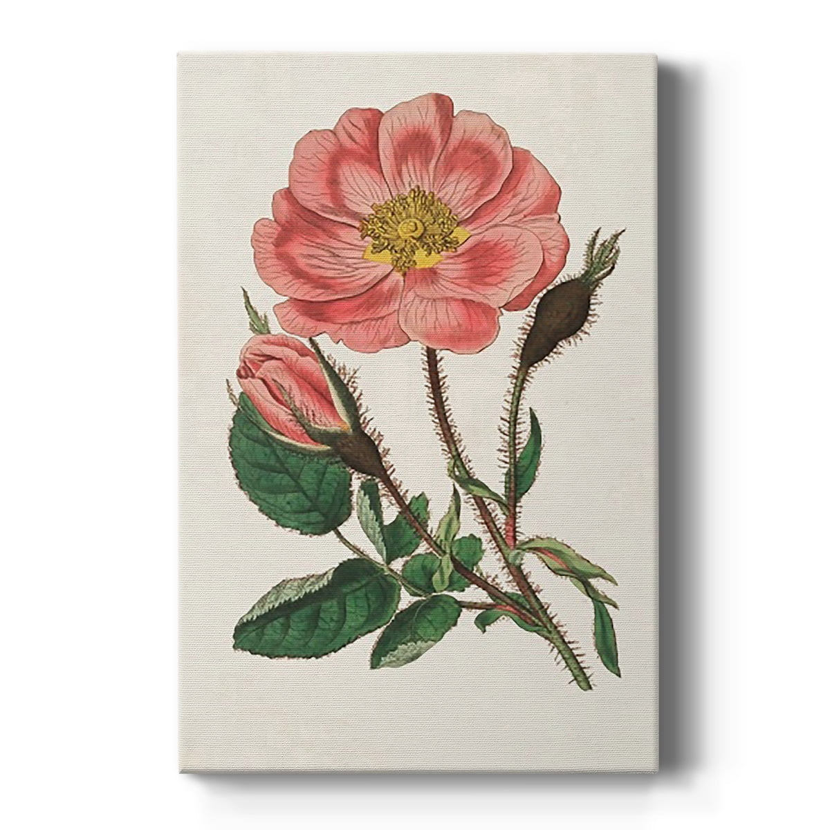 Pink Floral Mix IX Premium Gallery Wrapped Canvas - Ready to Hang