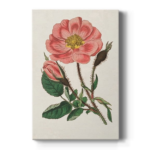 Pink Floral Mix IX Premium Gallery Wrapped Canvas - Ready to Hang