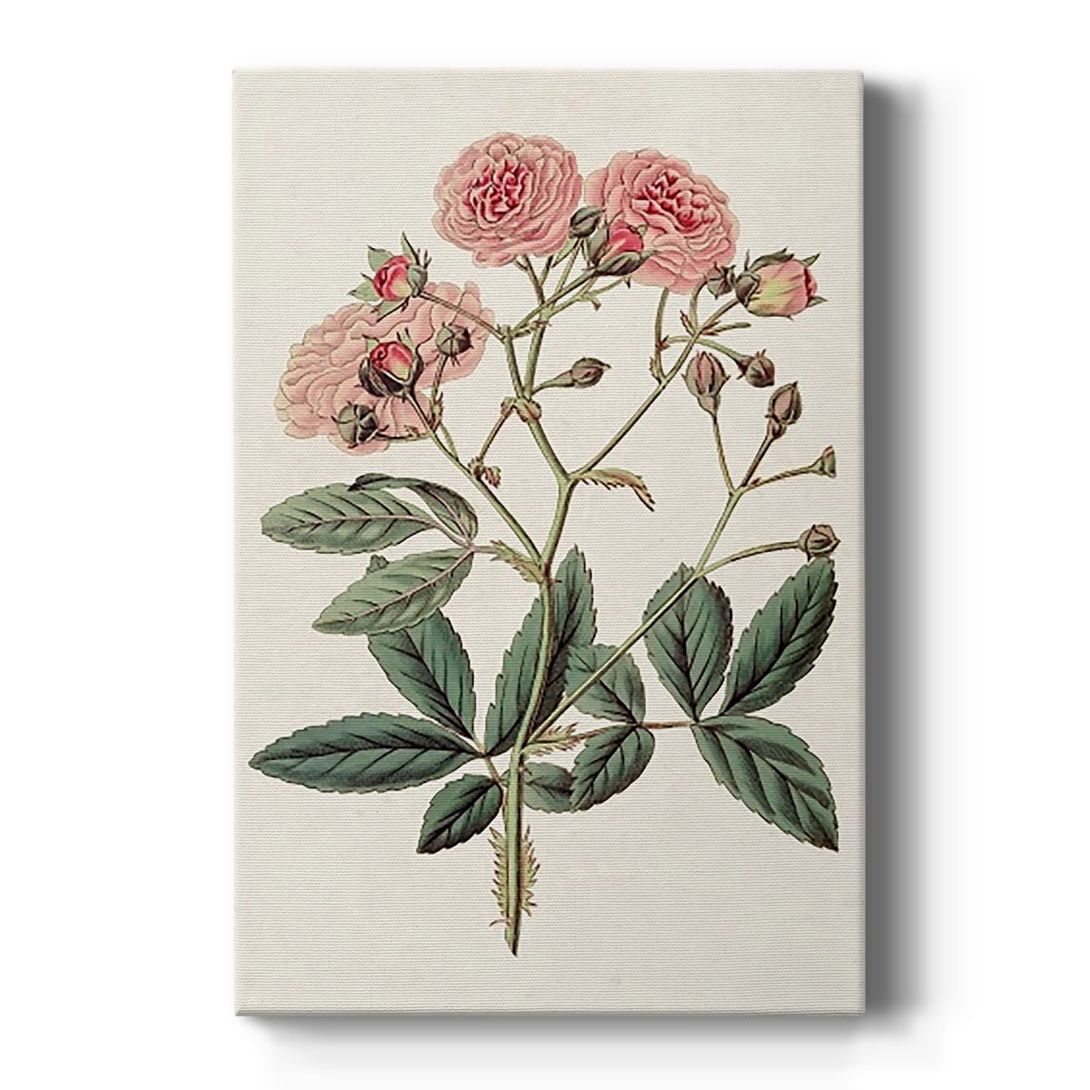 Pink Floral Mix V Premium Gallery Wrapped Canvas - Ready to Hang