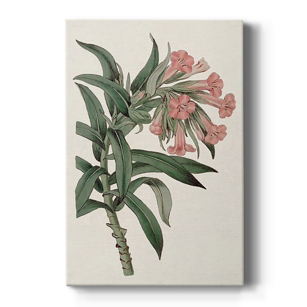 Pink Floral Mix VI Premium Gallery Wrapped Canvas - Ready to Hang