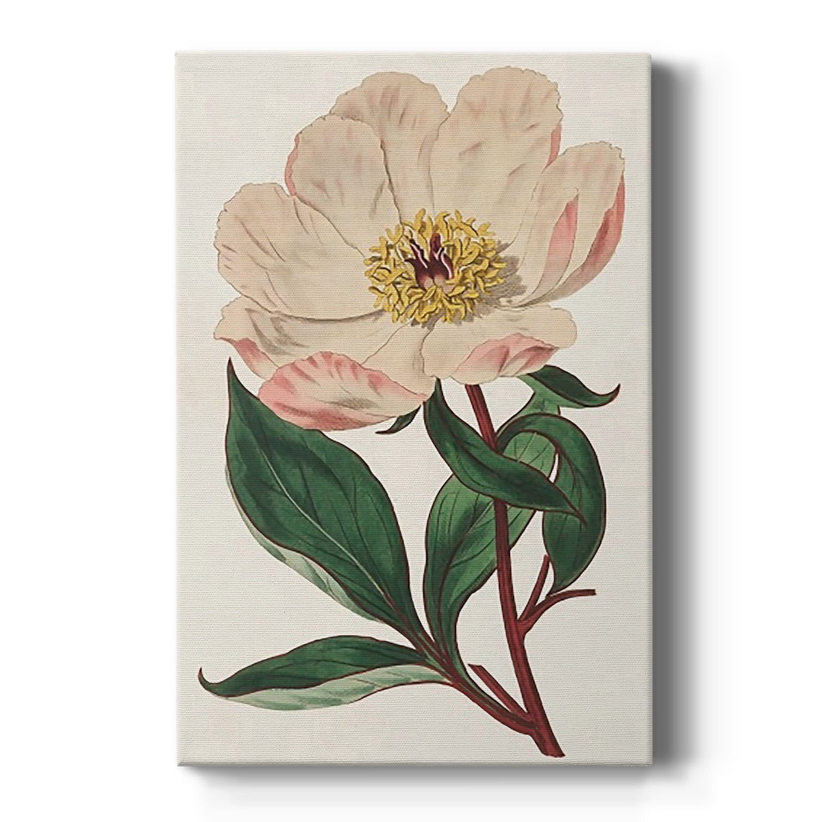 Pink Floral Mix VII Premium Gallery Wrapped Canvas - Ready to Hang