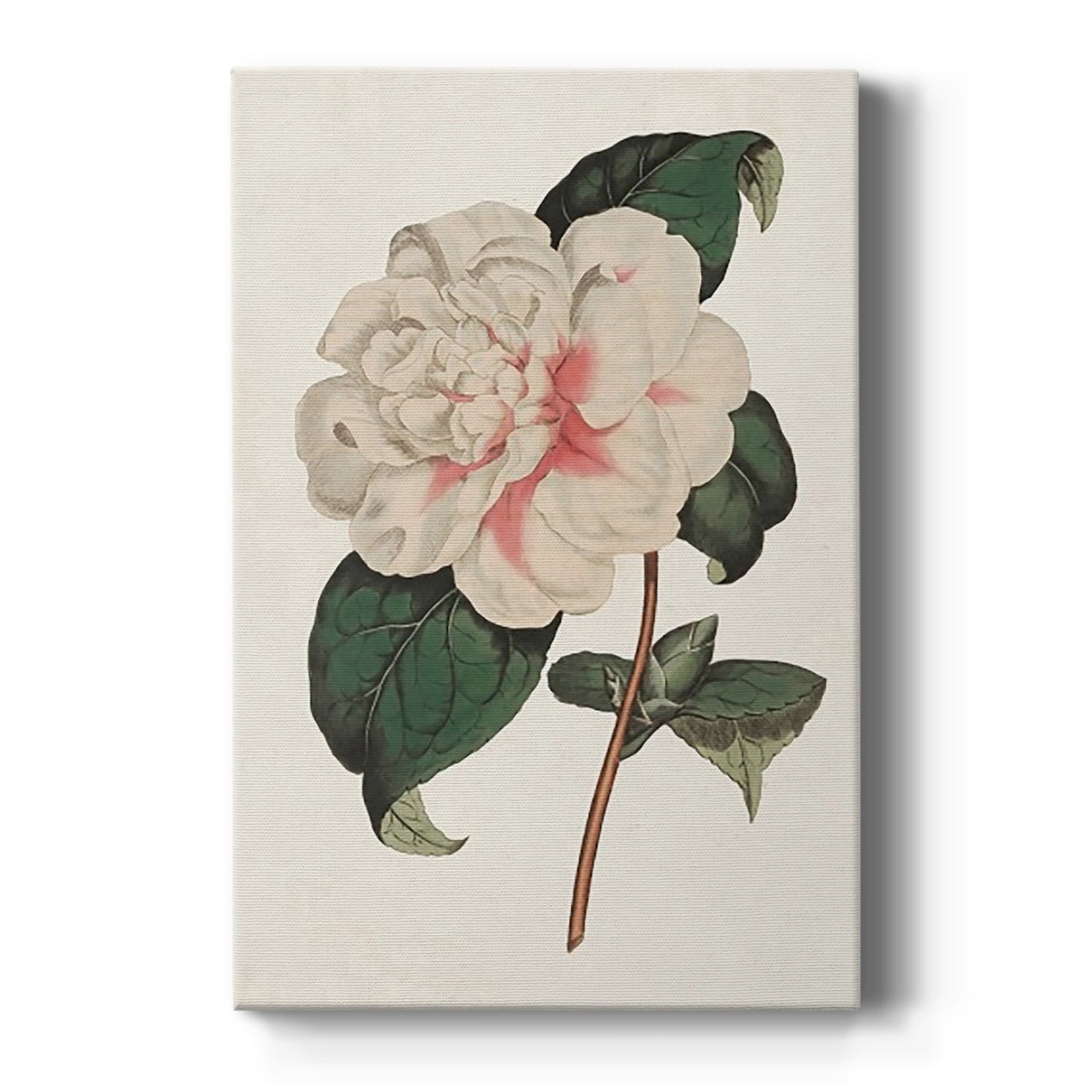 Pink Floral Mix VIII Premium Gallery Wrapped Canvas - Ready to Hang