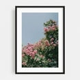 thumbnail image 1 of Pink Floral - Visalia California Photography Floral Flowers Nature Botanical Garden Scenic Summer Black Framed Wall Art Print 24 x 36 inches, 1 of 8