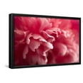 thumbnail image 1 of Pink Flower, Botanical Framed Art Print Wall Art by PhotoINC Sold by Art.Com, 1 of 6