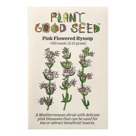 Pink Flowered Hyssop Seeds