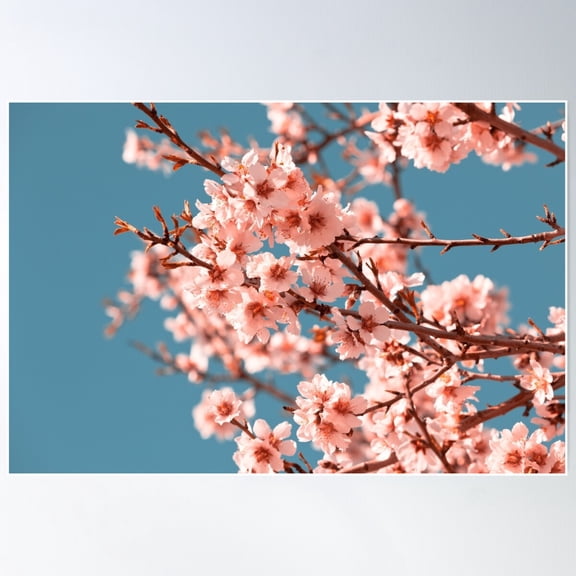 Pink Flowers Blooming Peach Tree At Spring Poster Wall Art, Modern Wall Decor For Living Room Bedroom, 12x18 UNFRAMED
