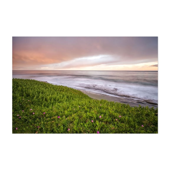 Pink Flowers - San Diego California Photography Coastal Landscape Sunset Seascape Ocean Nature Scenic Unframed Wall Art Print 40 x 60 inches