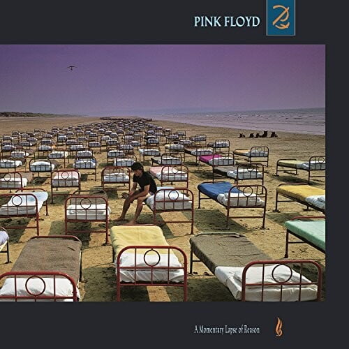 Pink Floyd - A Momentary Lapse Of Reason - Music & Performance - Vinyl