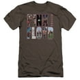 thumbnail image 1 of Pink Floyd Cover Premium Adult 30/1 T-Shirt Charcoal, 1 of 1