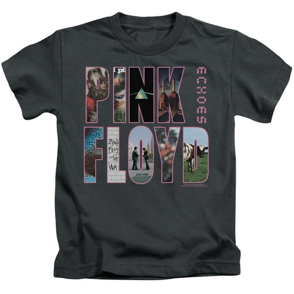 Pink Floyd Cover Youth 18/1 T-Shirt Charcoal