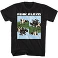 thumbnail image 1 of Pink Floyd Cows Black Adult T-Shirt 6Xl, 1 of 2