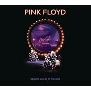 Pink Floyd - Delicate Sound Of Thunder 2CD - Music & Performance - CD