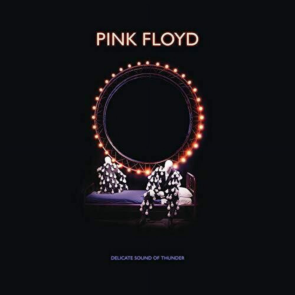 Pink Floyd - Delicate Sound Of Thunder Deluxe Box Set - Music
