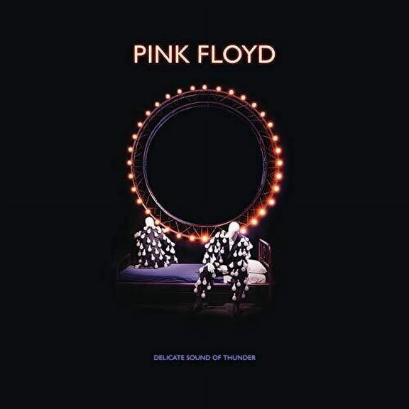 Pink Floyd - Delicate Sound Of Thunder Deluxe Box Set - Music & Performance - CD